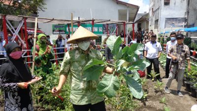 Warga Kota Yogya Antusias Bertani