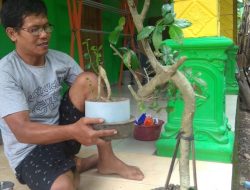 Sang Pemburu Serut