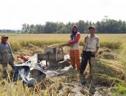 Buruh Ngarit, Pahlawan Pangan Lokal