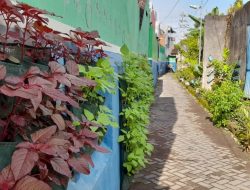 Sulap Gang Jadi Kebun Sayur untuk Ketahanan Pangan