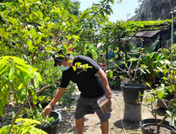 Kelompok Tani Wijaya Kusuma Sulap Lahan Kosong Jadi Produktif