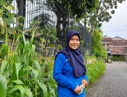 Hijaukan Pekarangan Rumah Tanam Sayuran