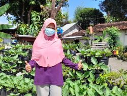 KWT Asoka Rawat Taman Bunga, Herbal, Sayur dan Buah