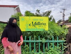 Manfaatkan Lahan Kosong, KWT Mutiara Menanam Toga