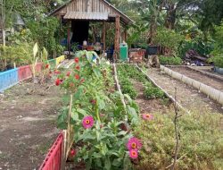 Kelompok Tani Ngudi Mulyo Sulap Kawasan Bekas Tempat Pembuangan Sampah Jadi Lahan Perkebunan dan Perikanan