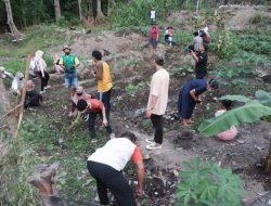 Jampiklim dan Lansia Produktif Ledhok Timoho, Usung Gerakan Berkebun Kolektif