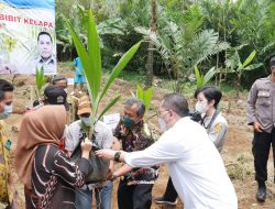Purbalingga Dapat Bantuan Bibit Kelapa dari Kementerian Pertanian RI