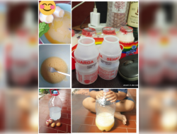 Cara Membuat Larutan Perangsang Buah