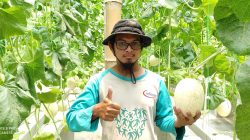 Bertani Melon dengan Teknologi Pertanian dan Informasi