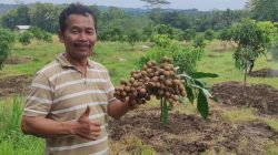 Banjarharjo Pusat Pendidikan dan Pengembangan Jurnalisme Pangan