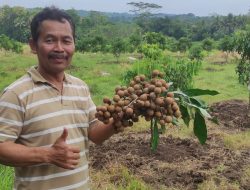 Banjarharjo Pusat Pendidikan dan Pengembangan Jurnalisme Pangan