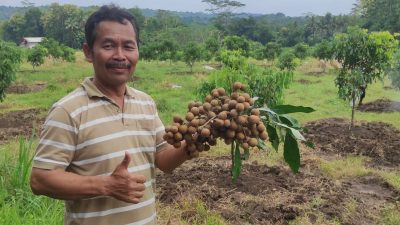 Banjarharjo Pusat Pendidikan dan Pengembangan Jurnalisme Pangan