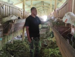 Hibah Baznas Bisa Menguap Jika Tidak Ada Pendampingan Kelompok Peternak Penerima Bantuan