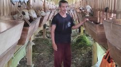 Kambing Usia Berapa Bulan yang Dagingnya Enak Dimakan?